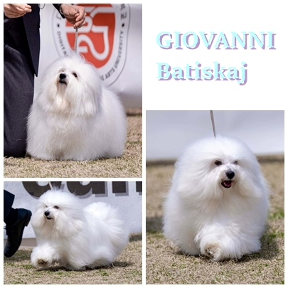 giopagge