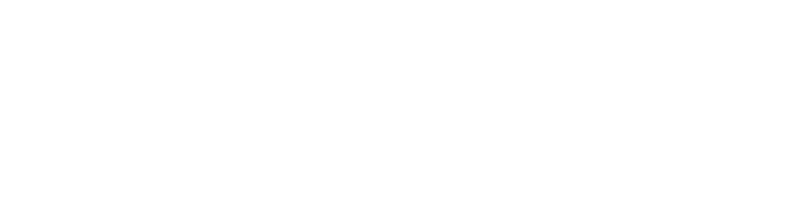 Radio PFR Logo